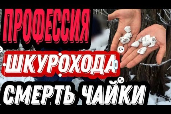 Ссылка омг telegra ph